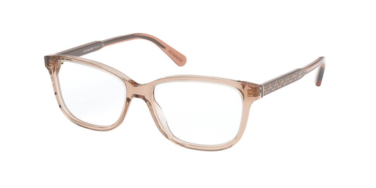 0HC6143 Frames Coach