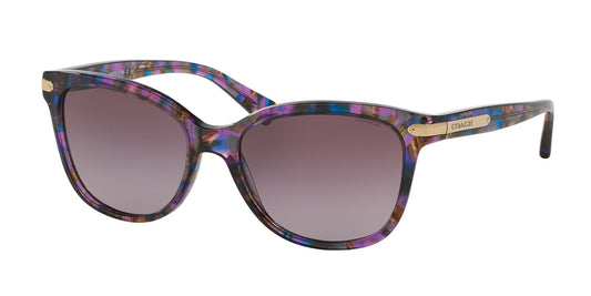 0HC8132 Sunglasses Coach