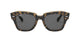 0RB2186 Sunglasses Ray Ban 49 1292B1 - HAVANA ON TRANSPARENT BR Grey