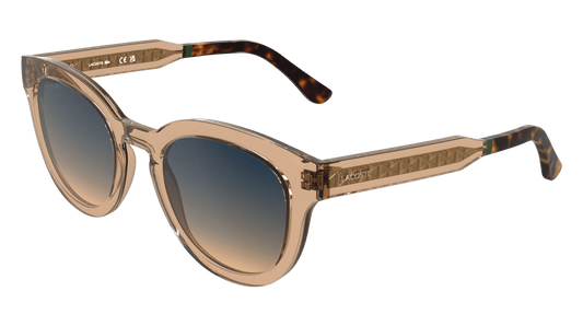 L6070S