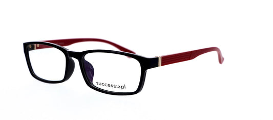 ASHTON Frames Success