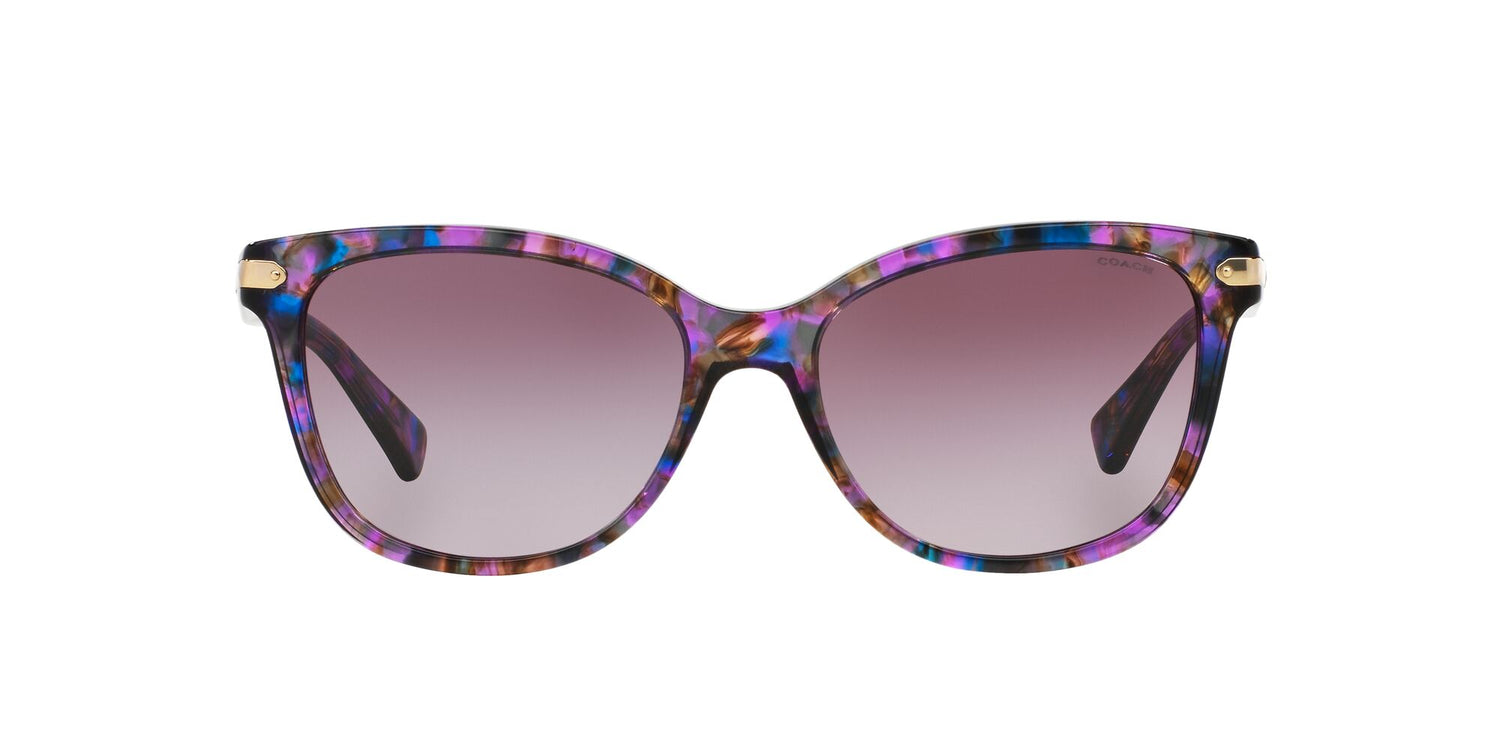COACH 0HC8132 Sunglasses Coach   