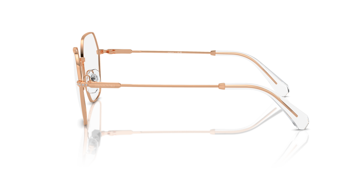 SK1011