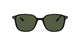 0RB2193 Sunglasses Ray Ban 53 901/31 - BLACK Green