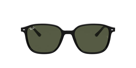 RAY BAN 0RB2193 Sunglasses Ray Ban 53 901/31 - BLACK Green
