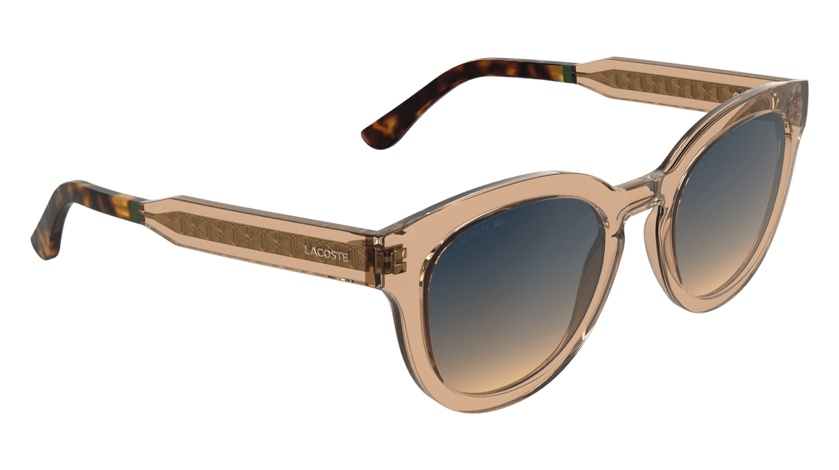 L6070S